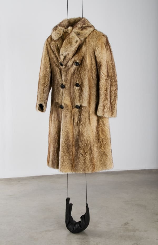 Installation view of Siobhán Hapaska: The Nose that Lost its Dog.
