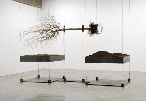 Installation view of Siobhán Hapaska: The Nose that Lost its Dog.
