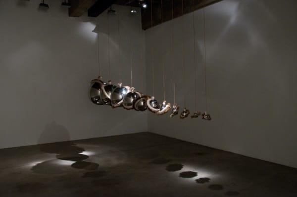 Installation view of Siobhán Hapaska: The Nose that Lost its Dog.