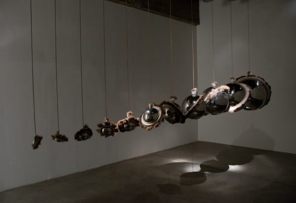 Installation view of Siobhán Hapaska: The Nose that Lost its Dog.