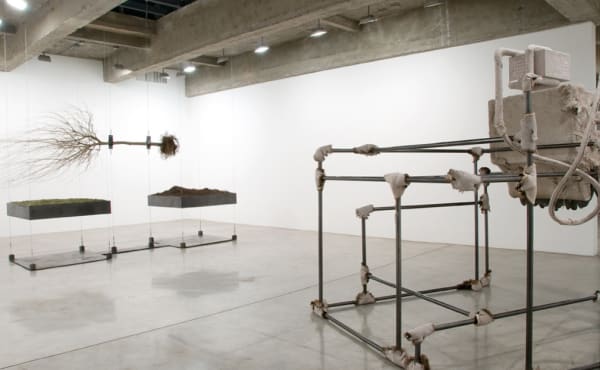 Installation view of Siobhán Hapaska: The Nose that Lost its Dog.