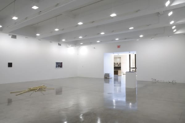 Installation view of RYAN GANDER: CHAMPIONED BY RIGOUR.