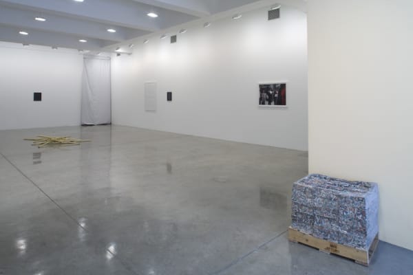 Installation view of RYAN GANDER: CHAMPIONED BY RIGOUR.