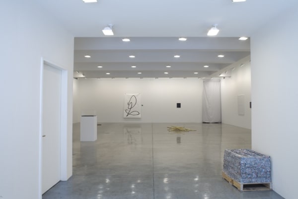 Installation view of RYAN GANDER: CHAMPIONED BY RIGOUR.