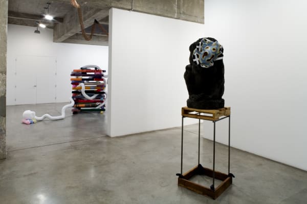Installation view of SIOBHÁN HAPASKA.