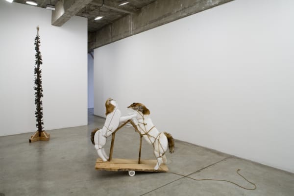 Installation view of SIOBHÁN HAPASKA.