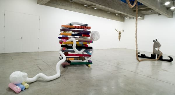 Installation view of SIOBHÁN HAPASKA.