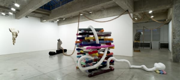 Installation view of SIOBHÁN HAPASKA.
