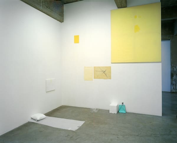 Installation view of IAN KIAER: THE GREY CLOTH.