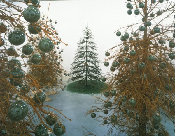 Installation view of SIOBHÁN HAPASKA.