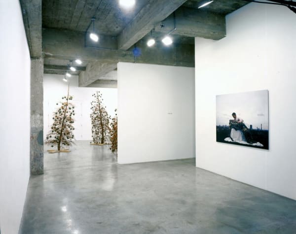 Installation view of SIOBHÁN HAPASKA.