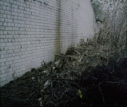 Installation view of PAUL SEAWRIGHT.