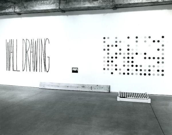 Installation view of MULTIPLE PLEASURE.