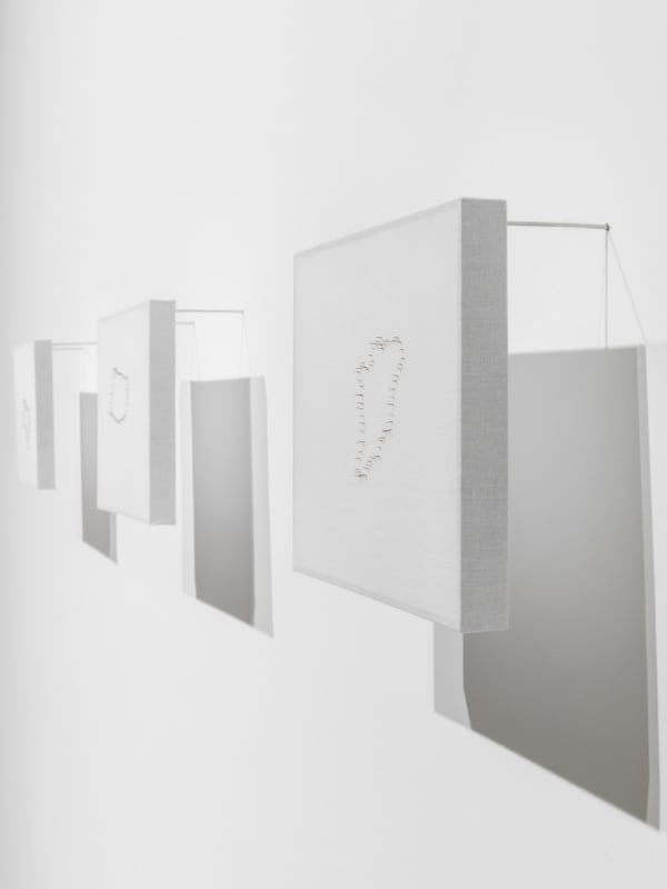 install view of shilpa gupta wall work