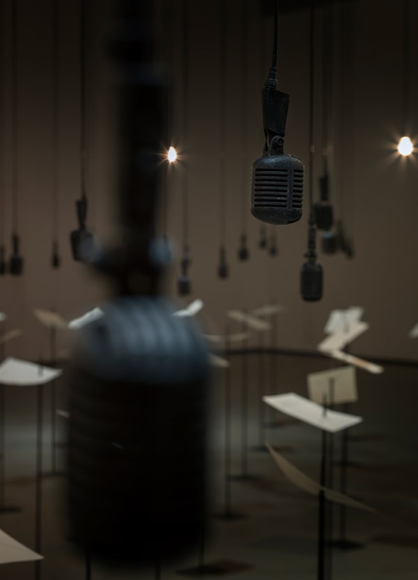 install view of shilpa gupta microphones