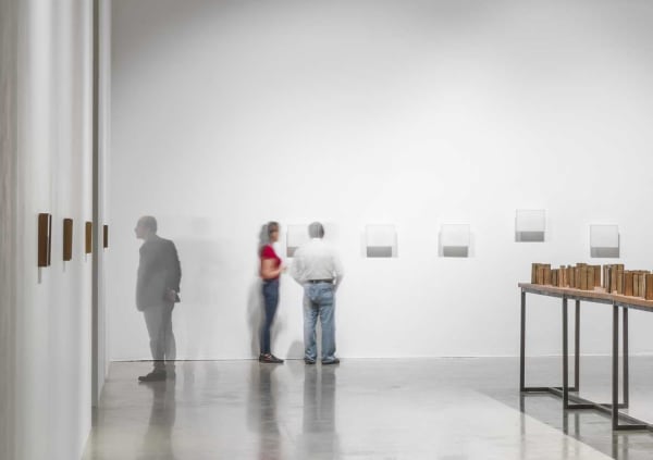 install view of shilpa gupta wall work