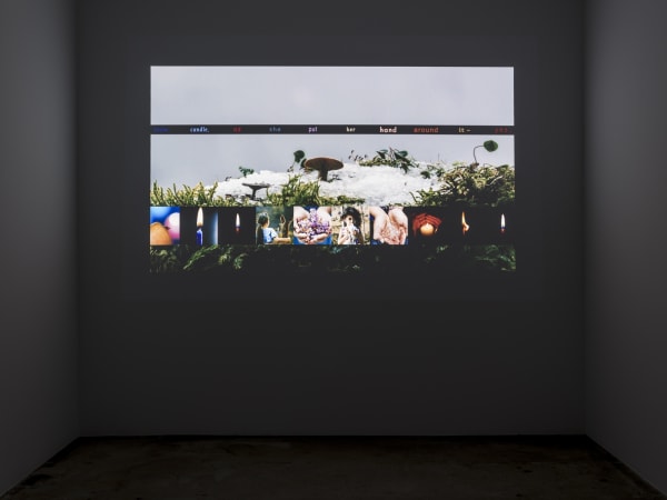 installation view of Liu Shiyuan at TBG LA