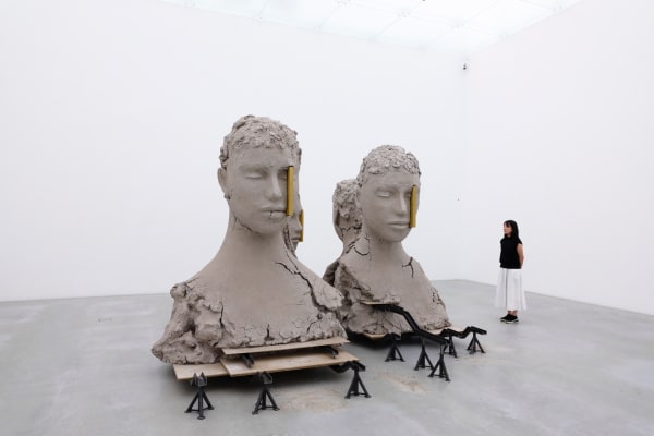 intsall image of Mark Manders and Michael Borremans two person exhibition
