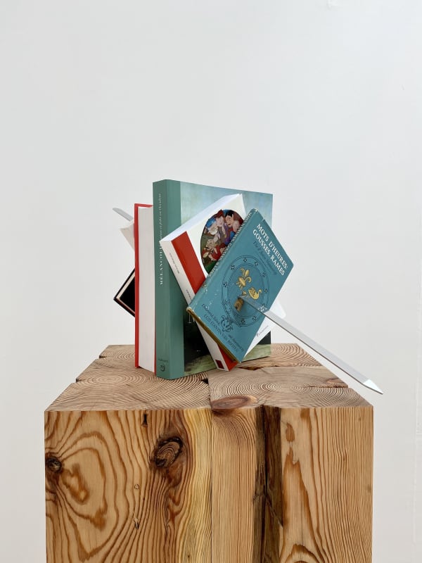 Installation image of Slavs and Tatars: Régions d’être.