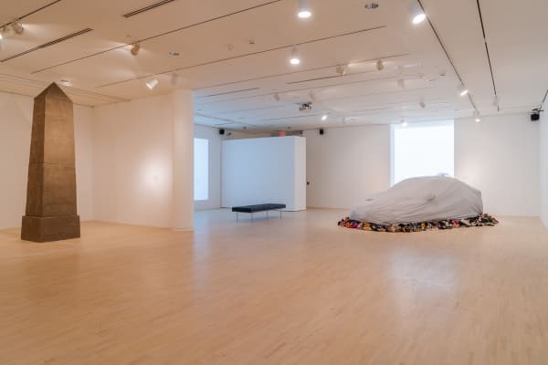 Installation image of Karyn Olivier: Everything That’s Alive Moves.