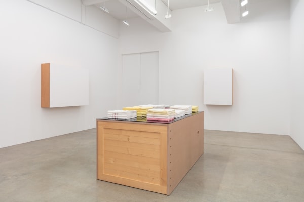 installation view of Haim Steinbach 1991-1993 at Tanya Bonakdar Gallery in 2021