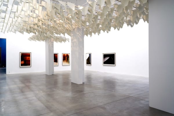 Martin Boyce installation image at M Leuven