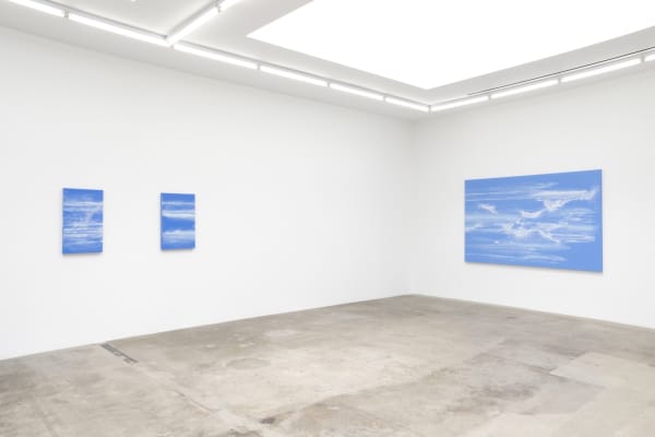 Sandra Cinto installation image at TBG LA