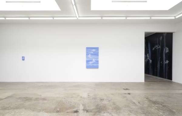 Sandra Cinto installation image at TBG LA