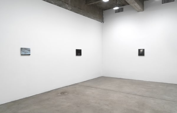 Dana Powell installation view