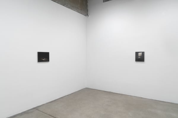 Dana Powell installation view