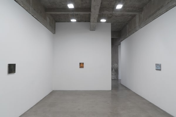 Dana Powell installation view