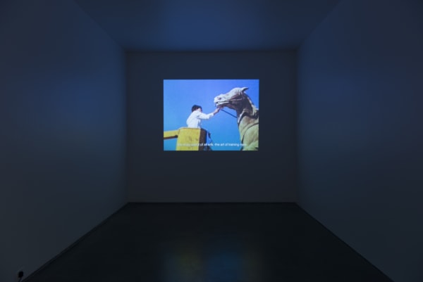 installation view of Amalia Pica at MCA Chicago.