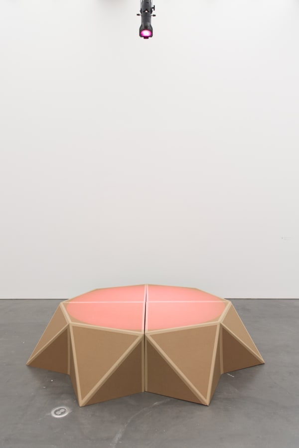 installation view of Amalia Pica at MCA Chicago.
