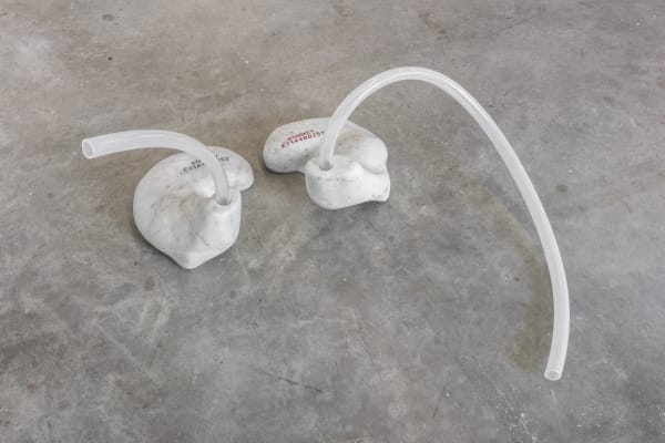 Installation view of Amalia Pica: ears to speak of.
