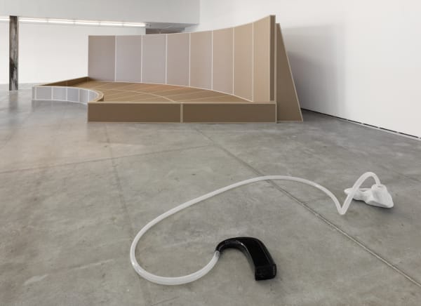 Installation view of Amalia Pica: ears to speak of.