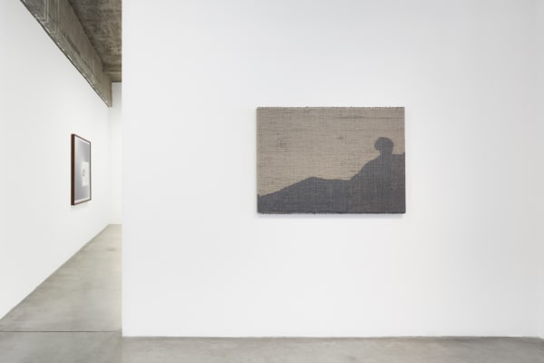 Installation image of Analia Saban View Count.