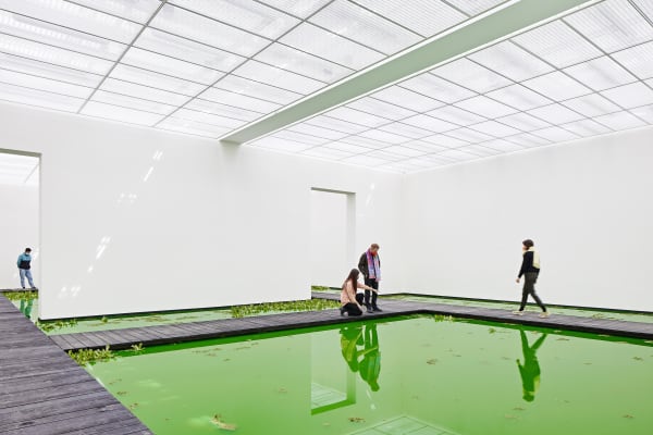 Installation image of Olafur Eliasson's Life.