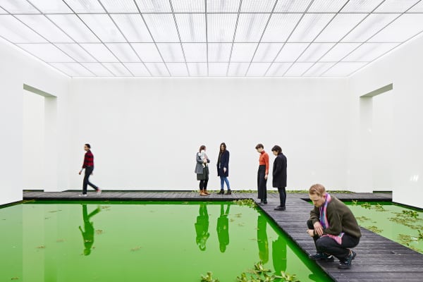 Installation image of Olafur Eliasson's Life.