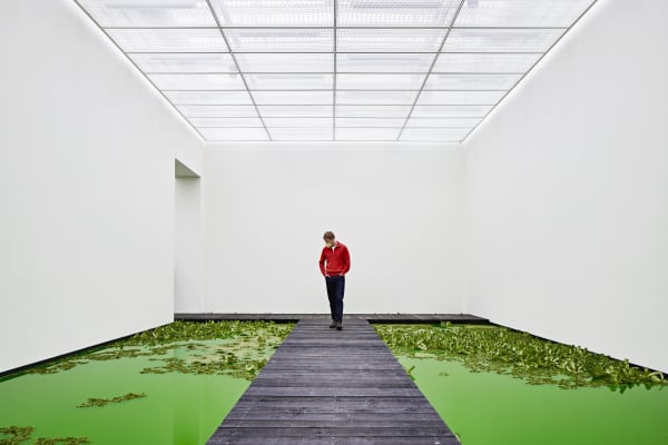 Installation image of Olafur Eliasson's Life.