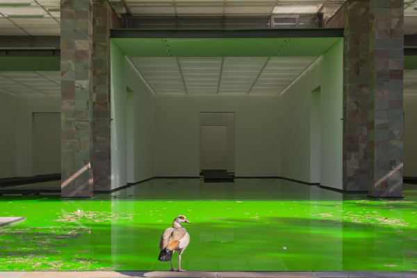Installation image of Olafur Eliasson's Life.