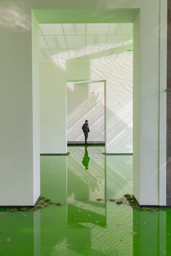 Installation image of Olafur Eliasson's Life.