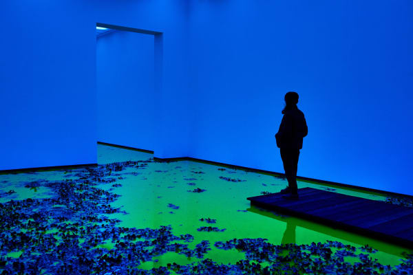 Installation image of Olafur Eliasson's Life.