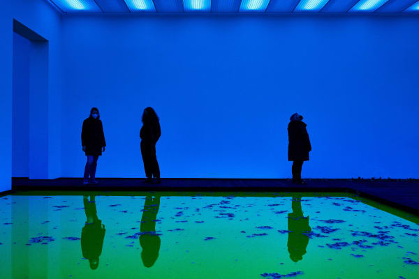 Installation image of Olafur Eliasson's Life.