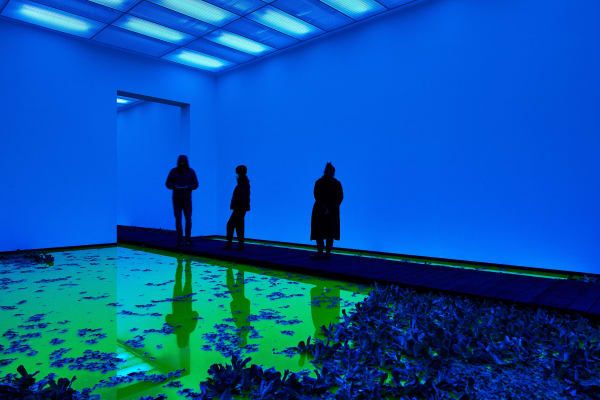 Installation image of Olafur Eliasson's Life.