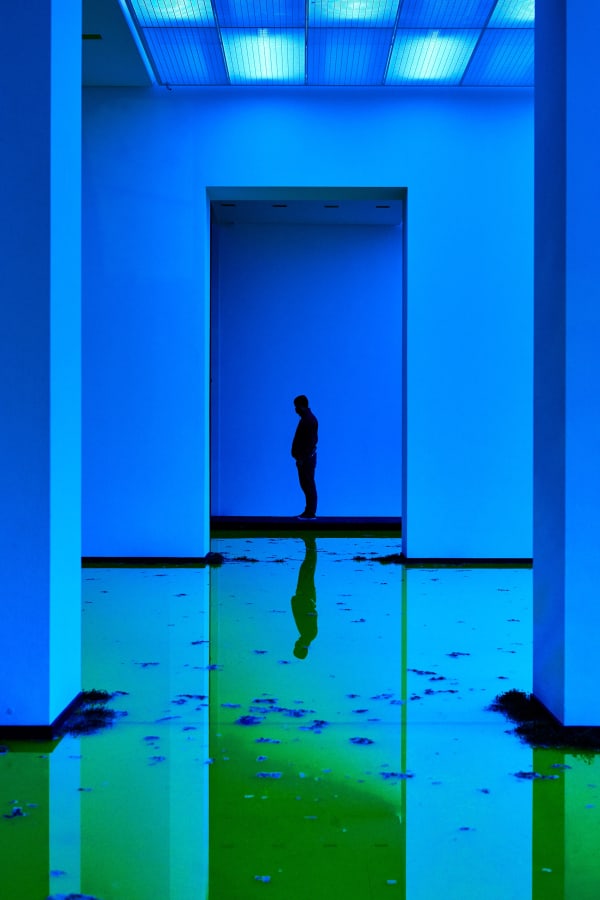 Installation image of Olafur Eliasson's Life.
