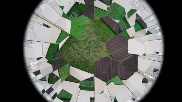 Installation image of Olafur Eliasson's Life.