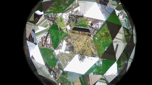 Installation image of Olafur Eliasson's Life.