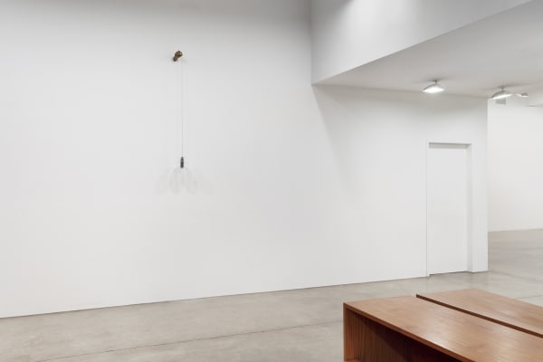akashi installation view at TBG NY