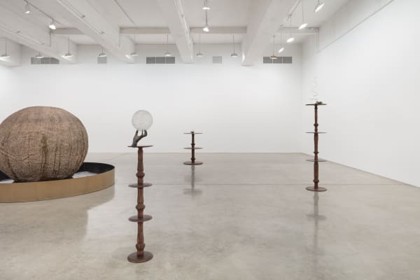 akashi installation view at TBG NY