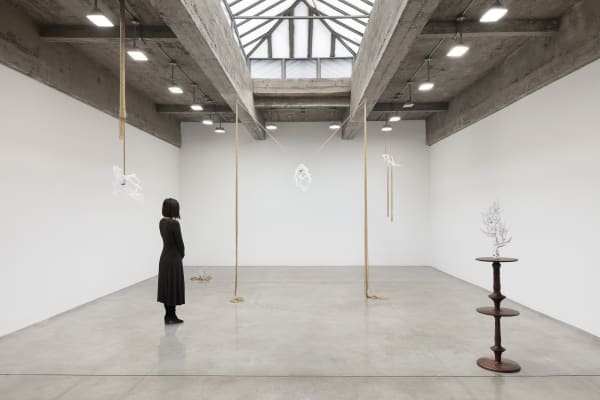 akashi installation view at TBG NY
